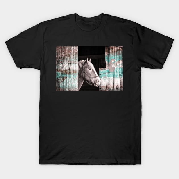 "Horse Sense" T-Shirt by Colette22